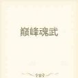 巔峰魂武 巔峰魂武