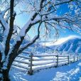 對雪(對雪高駢)