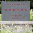 合剌普華 合剌普華