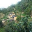 中奎姑村 中奎姑村