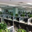 電話公司 電話公司