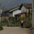 石坡村(貴州黃平縣一碗水鄉下轄村) 石坡村(貴州黃平縣一碗水鄉下轄村)