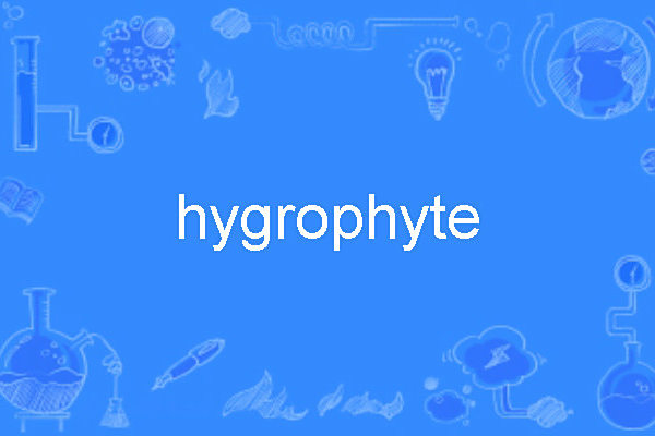 hygrophyte hygrophyte