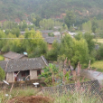 沿里村 沿里村