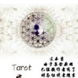 Tarot收集計畫 Tarot收集計畫