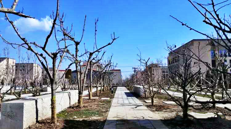 青海高等職業技術學院校園風景