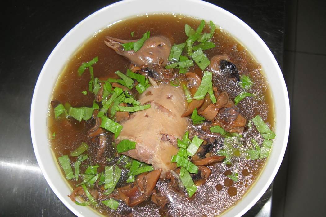雲腿鴿子湯 雲腿鴿子湯