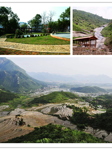石橋村(江西省橫峯縣葛源鎮下轄行政村) 石橋村(江西省橫峯縣葛源鎮下轄行政村)