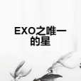 EXO之唯一的星 EXO之唯一的星