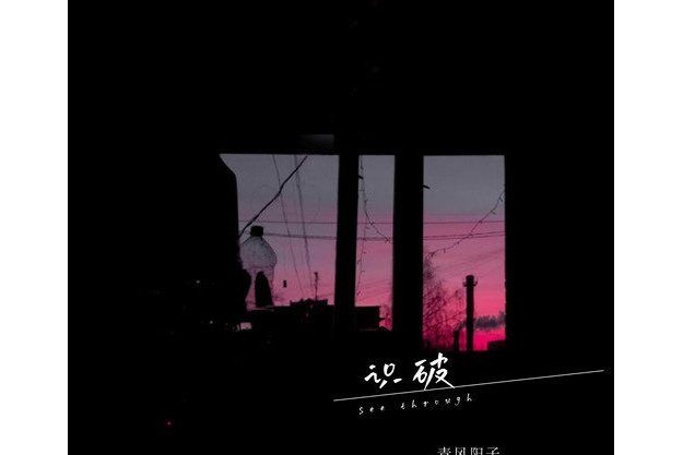 識破(青風陽子演唱的歌曲) 識破(青風陽子演唱的歌曲)