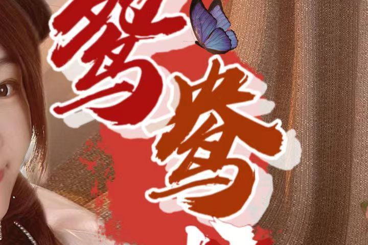 鴛鴦戲(林清弄演唱的歌曲) 鴛鴦戲(林清弄演唱的歌曲)
