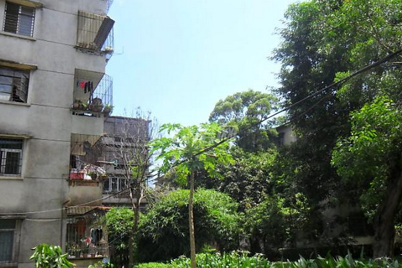 海霞新村 海霞新村