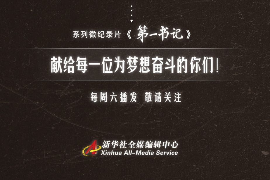 第一書記(2020年新華社推出的系列微紀錄片) 第一書記(2020年新華社推出的系列微紀錄片)