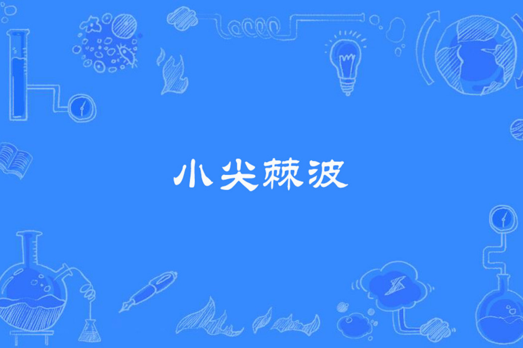 小尖棘波 小尖棘波