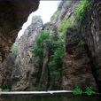 全勝峽 全勝峽