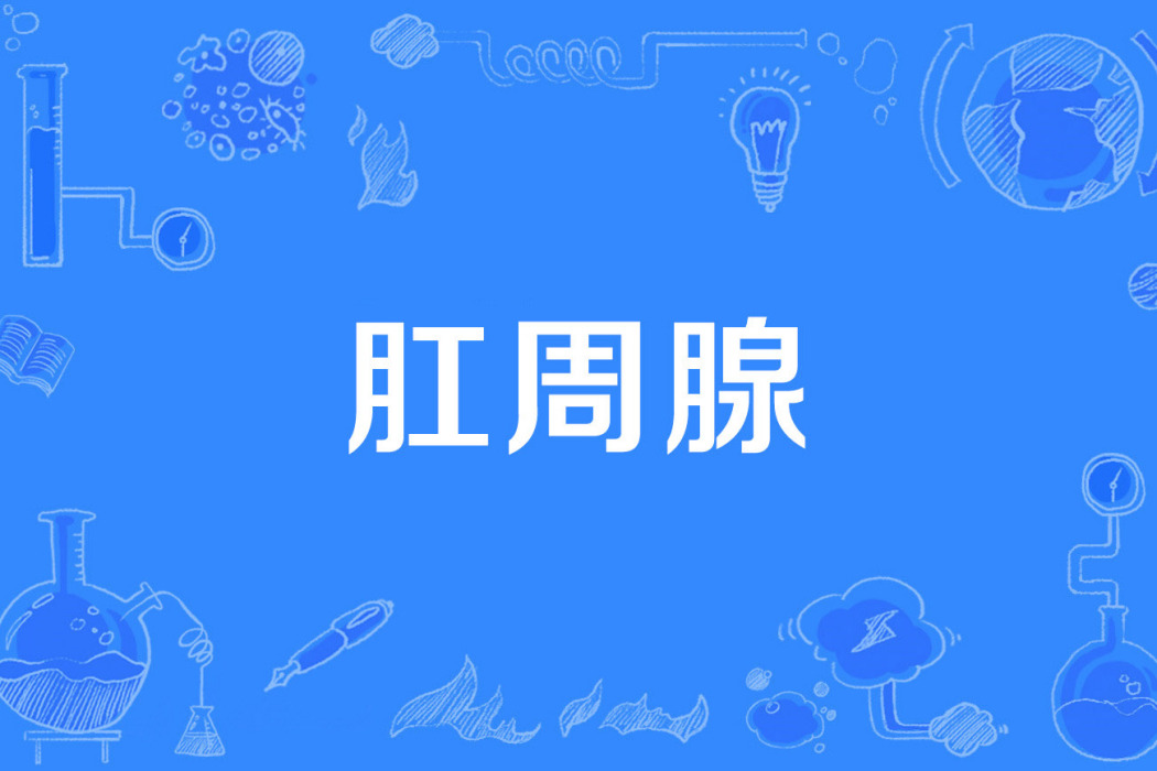 肛周腺 肛周腺