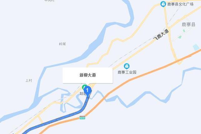 新柳大道 新柳大道