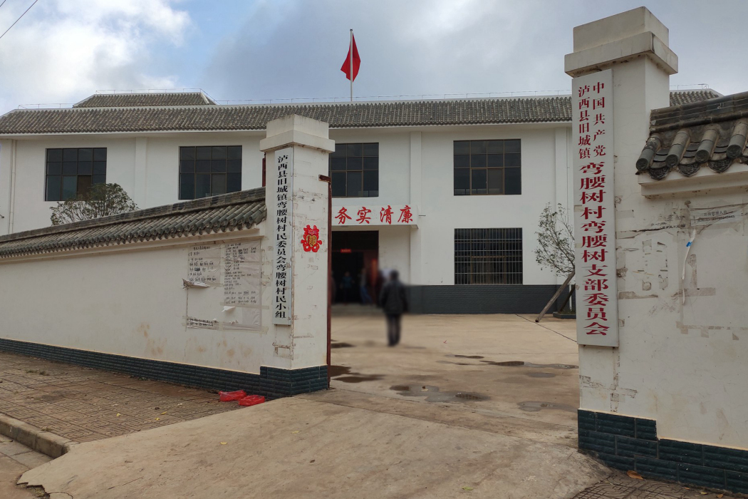 彎腰樹 彎腰樹