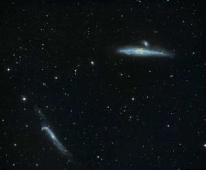 鯨魚星系下邊界之外有一個伴星系
