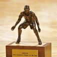美國職業籃球聯賽年度最佳防守球員獎(DPOY)