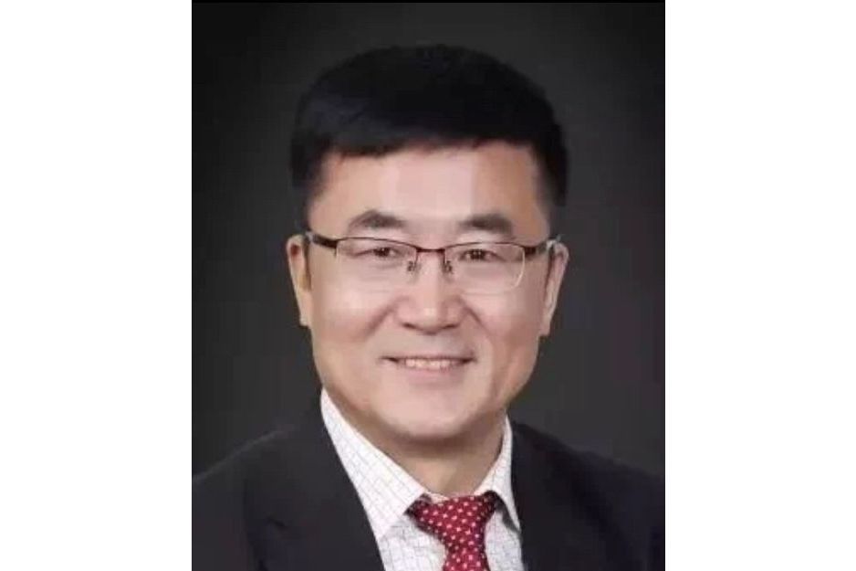 張仲華(科達潔能董事) 張仲華(科達潔能董事)