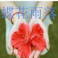 蝶花雨落 蝶花雨落