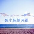玩笑(魏小麒演唱歌曲) 玩笑(魏小麒演唱歌曲)