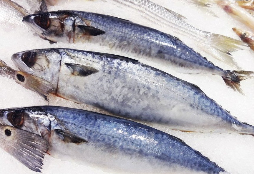 冰鮮魚 冰鮮魚
