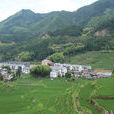 馬坑村(浙江省景寧縣東坑鎮下轄村) 馬坑村(浙江省景寧縣東坑鎮下轄村)