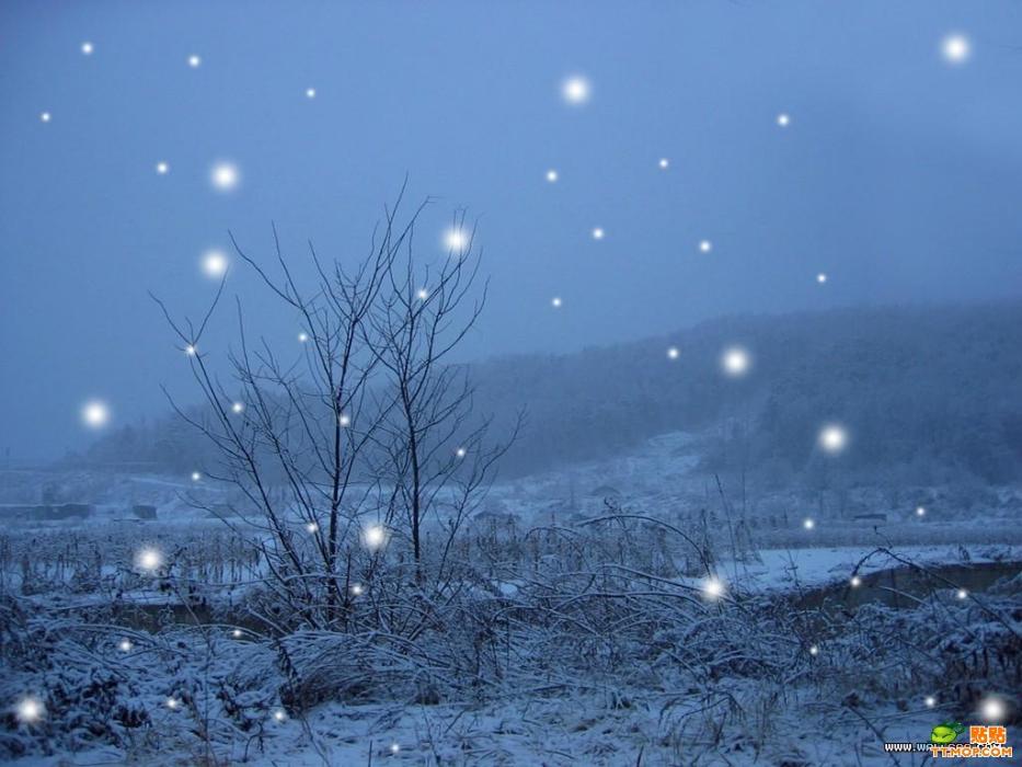 七彩雪 七彩雪