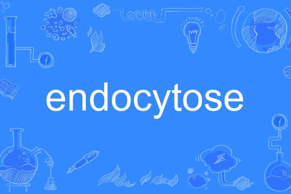 endocytose endocytose