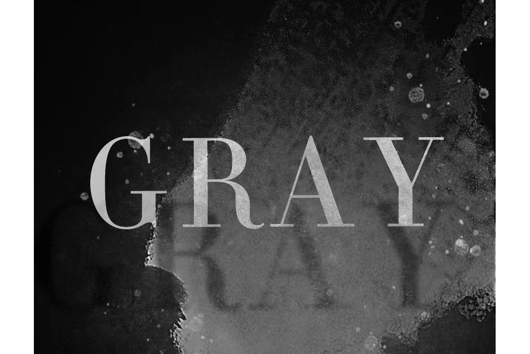 Gray(念寶兒創作的一部網路小說) Gray(念寶兒創作的一部網路小說)