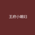 王府小媳婦 王府小媳婦