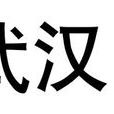 武漢中商