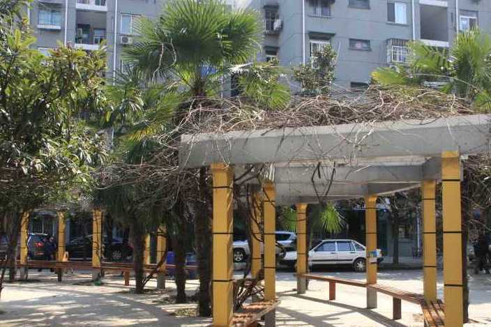 虹苑新寓二村 虹苑新寓二村