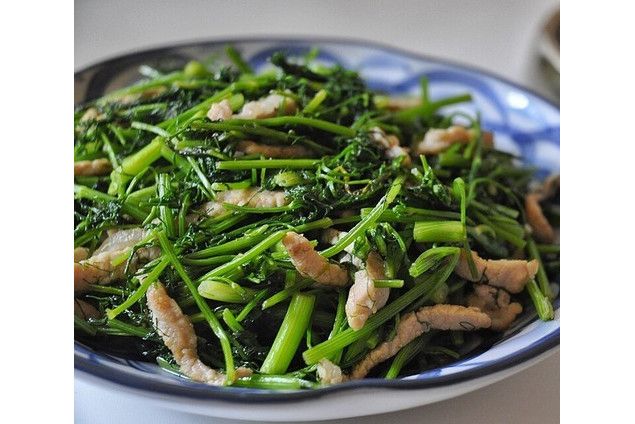 茴香炒肉 茴香炒肉