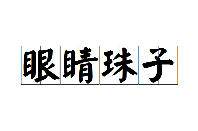 眼睛珠子 眼睛珠子