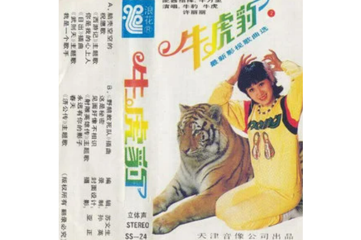 這是秘密(許麗麗演唱的歌曲) 這是秘密(許麗麗演唱的歌曲)