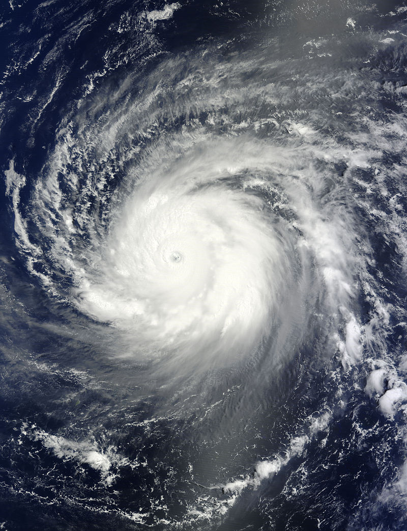 颱風白海豚(2015年第7號超強颱風)