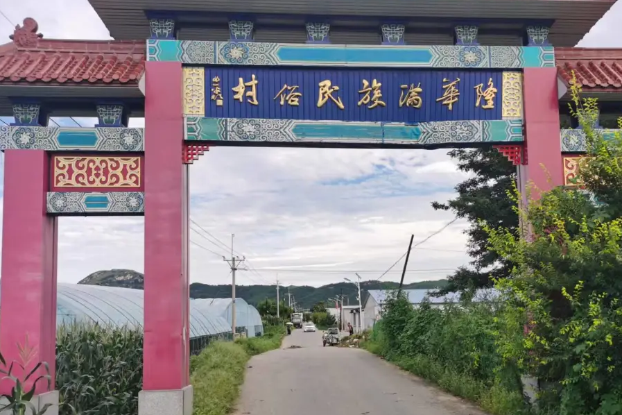 隆華村(遼寧省營口市鮁魚圈區紅旗滿族鎮境內的一個村) 隆華村(遼寧省營口市鮁魚圈區紅旗滿族鎮境內的一個村)