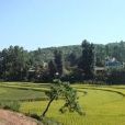 小瓦匠村 小瓦匠村
