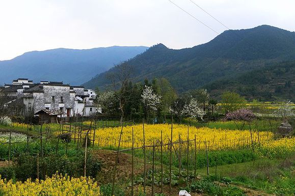 回嶺古道 回嶺古道