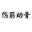 傷筋動骨 傷筋動骨