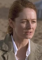 鳳凰劫(美國2004年John Moore 導演電影)