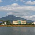富林鎮(廣東省雲浮市雲安區富林鎮)