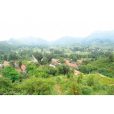 肖家匯村 肖家匯村