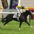 伏特加(2004年誕生日本純種競賽馬匹)