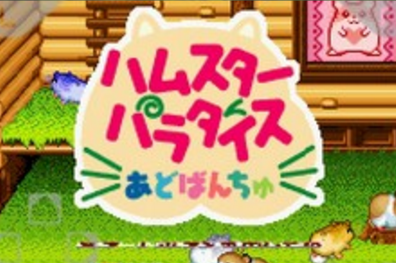 倉鼠天堂A 倉鼠天堂A