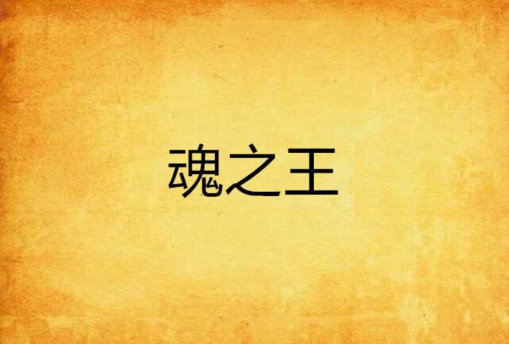 魂之王 魂之王