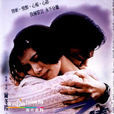 新不了情(2002年劉漢強主演電視劇)